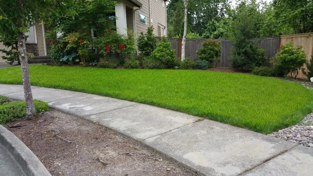 Trusted lawn care service in Bothell, WA - Genesis Landscaping