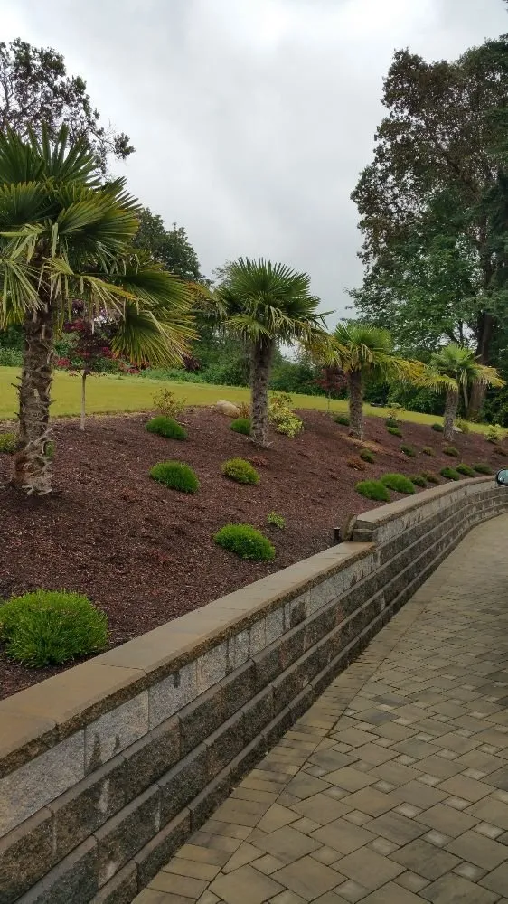 Expert landscape installation in Bothell, WA - Genesis Landscaping