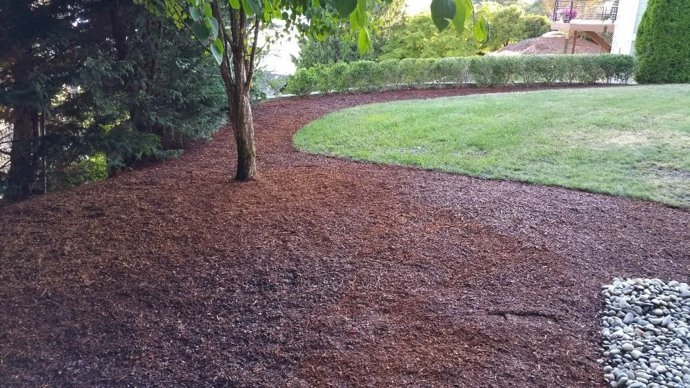 Custom yard cleanup service for year-round maintenance in Bothell, WA by Genesis Landscaping
