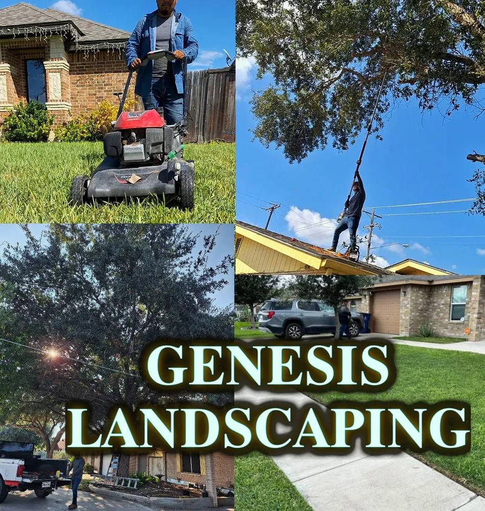 Trusted landscape design with custom design across Edinburg, TX - Genesis Landscaping