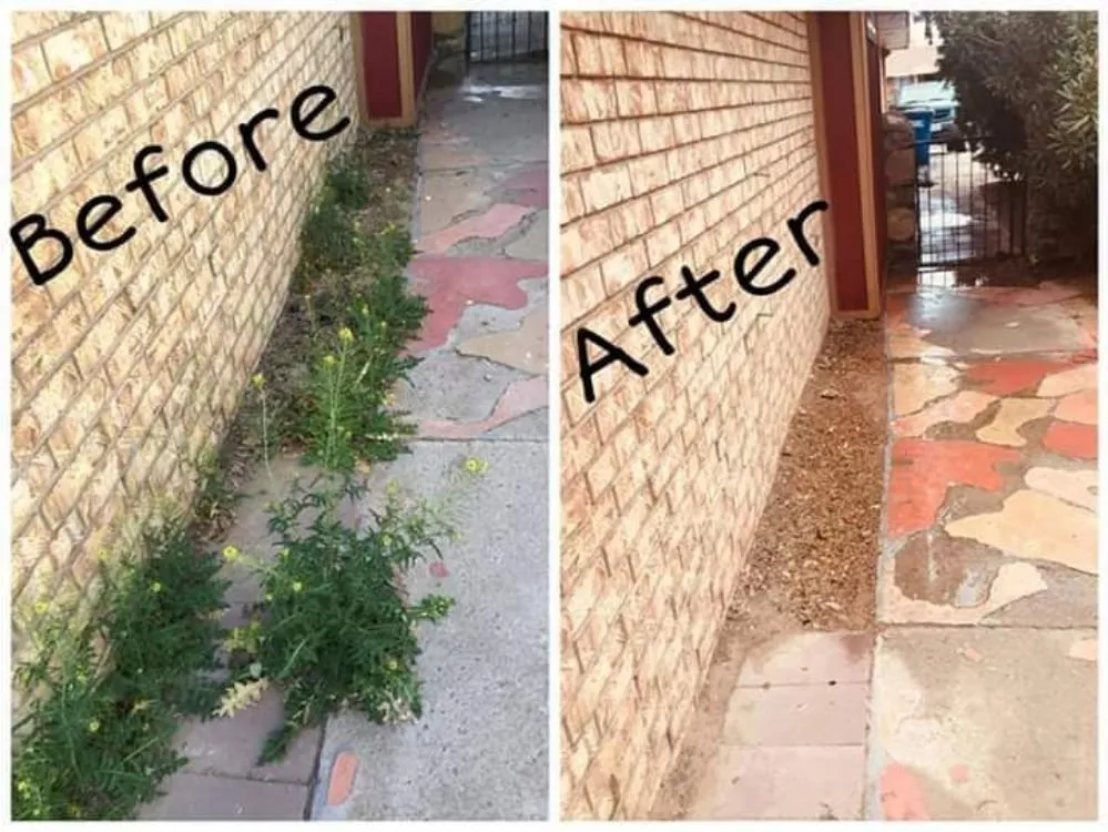 Custom garden landscaping for year-round maintenance in El Paso, TX by Genesis Landscaping