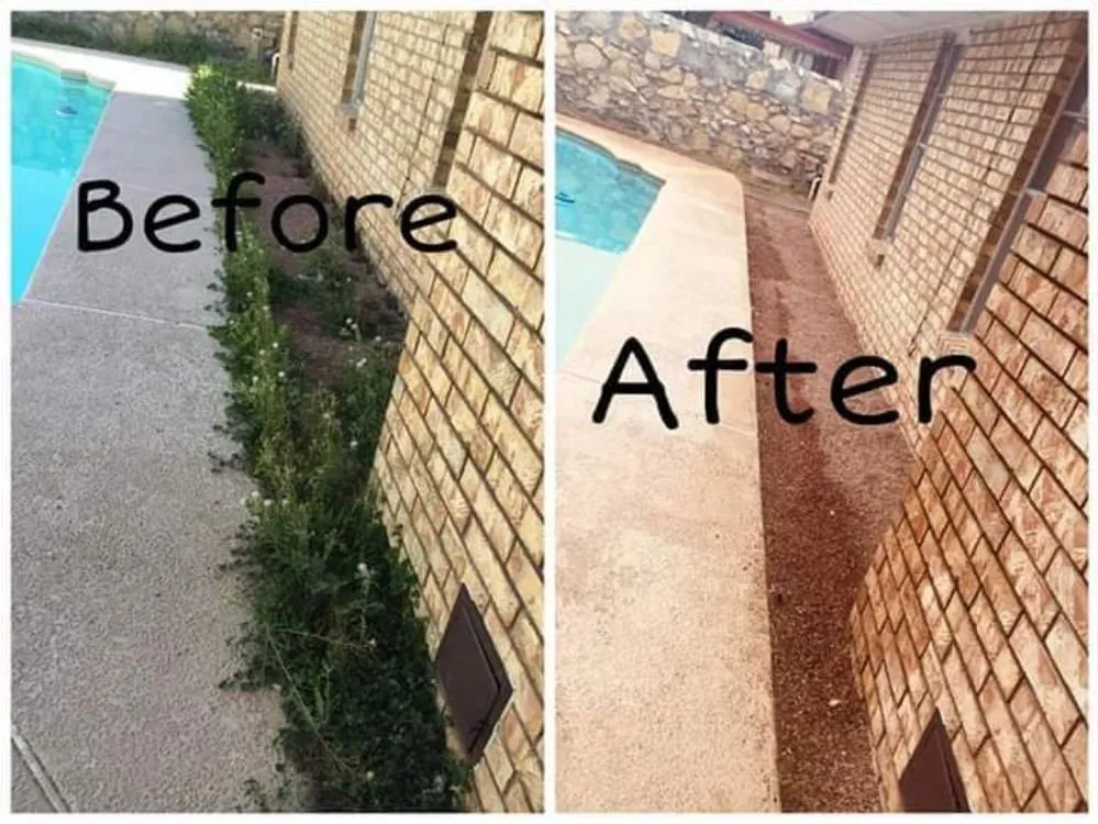 Local landscape design near you across El Paso, TX - Genesis Landscaping