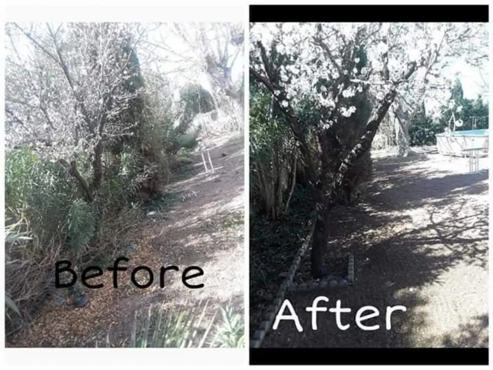 Expert yard cleanup service experts serving El Paso, TX - Genesis Landscaping