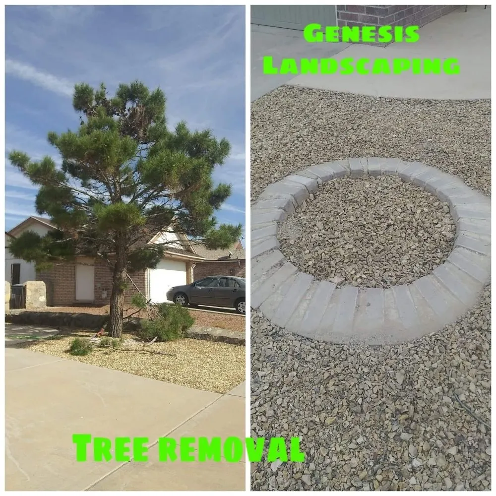 Professional landscape installation in El Paso, TX by Genesis Landscaping