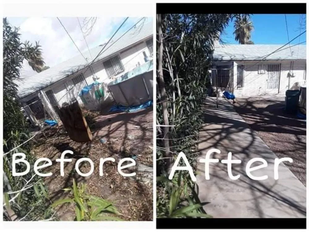 Reliable landscape design for beautiful yards across El Paso, TX - Genesis Landscaping