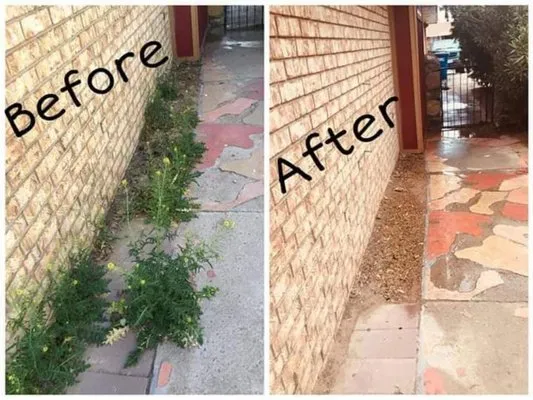 Genesis Landscaping Logo