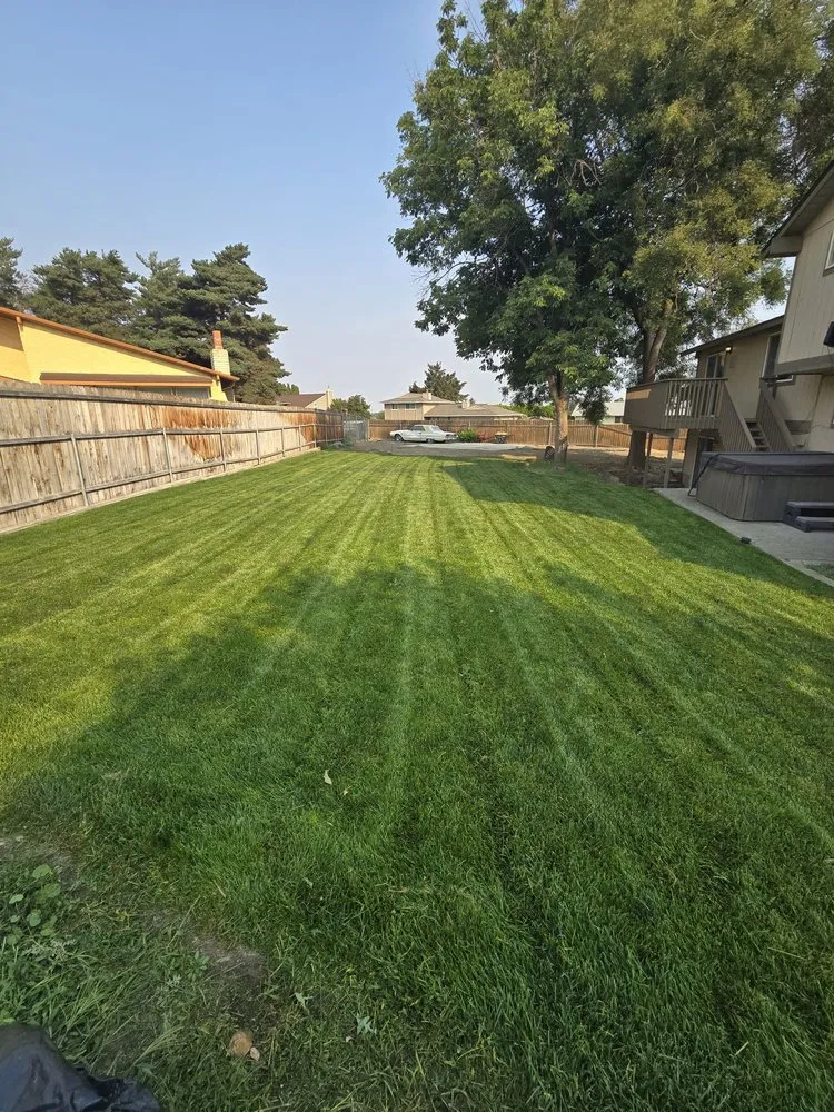 Trusted landscaping services for year-round maintenance in Hermiston, OR by Genesis Landscaping