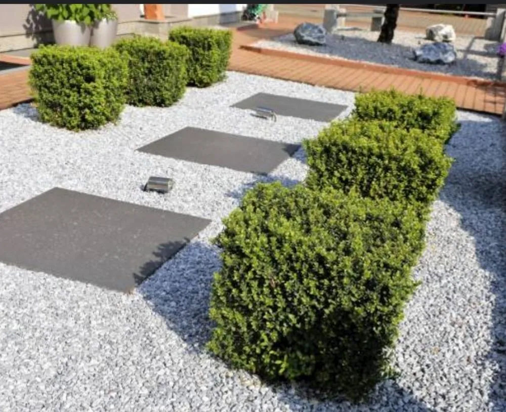 Trusted outdoor landscaping for beautiful yards across Hermiston, OR - Genesis Landscaping