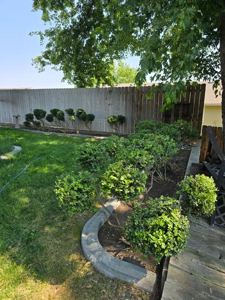 Reliable yard maintenance with custom design in Hermiston, OR by Genesis Landscaping