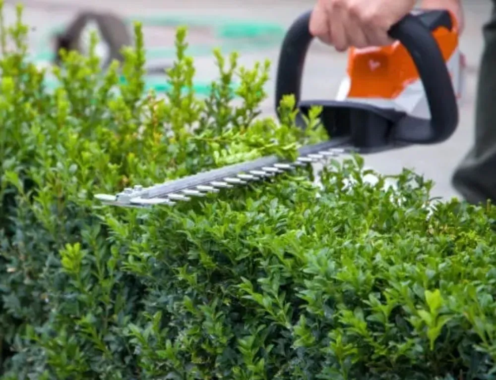 Trusted lawn care service experts serving Hermiston, OR - Genesis Landscaping