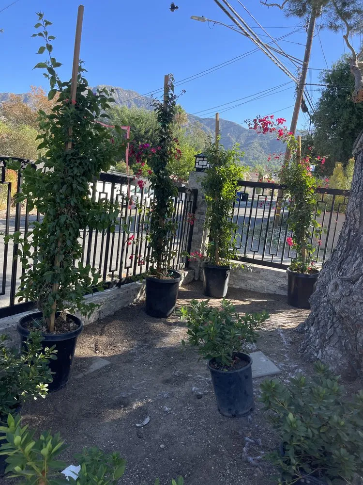 Trusted landscaping services in Littlerock, CA - Genesis Landscaping