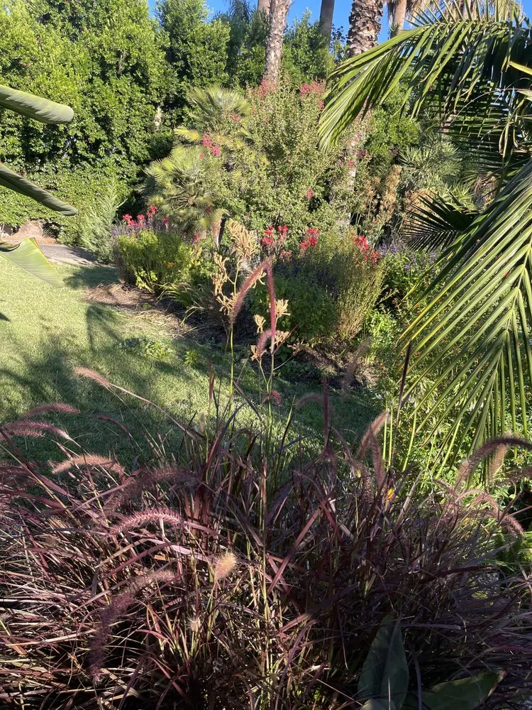 Affordable yard cleanup service for outdoor upgrades across Littlerock, CA - Genesis Landscaping