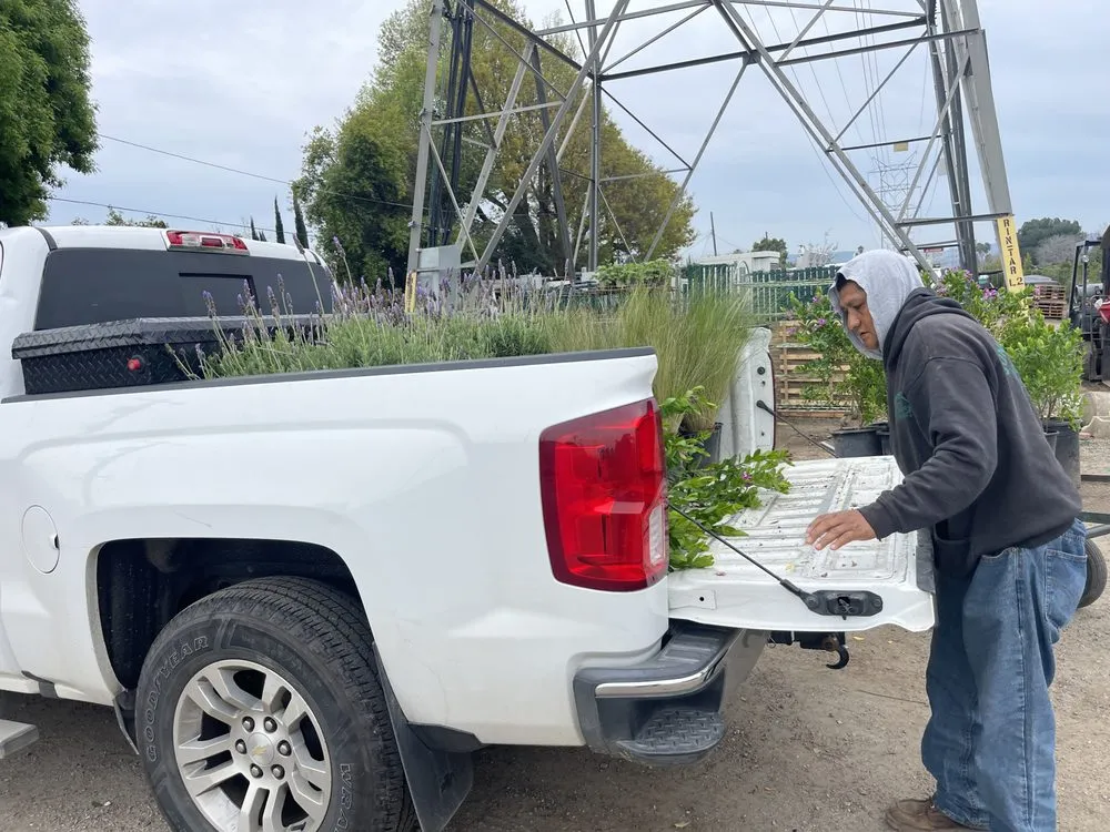 Trusted landscape design with custom design across Littlerock, CA - Genesis Landscaping