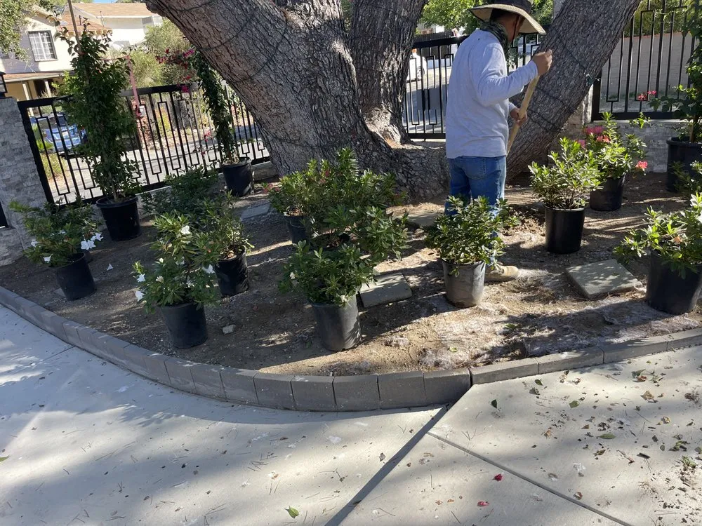 Reliable lawn care service in Littlerock, CA - Genesis Landscaping