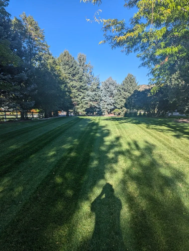 Expert garden landscaping for residential properties across Mapleton, UT - Genesis Landscaping