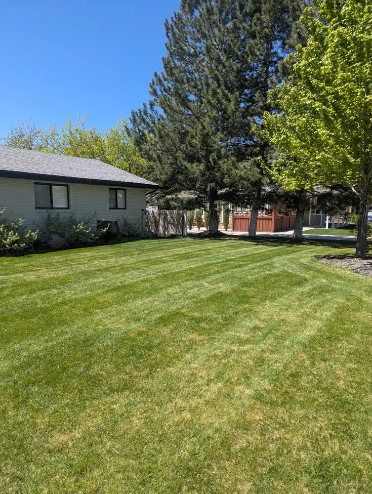 Custom lawn care service for outdoor upgrades in Mapleton, UT by Genesis Landscaping