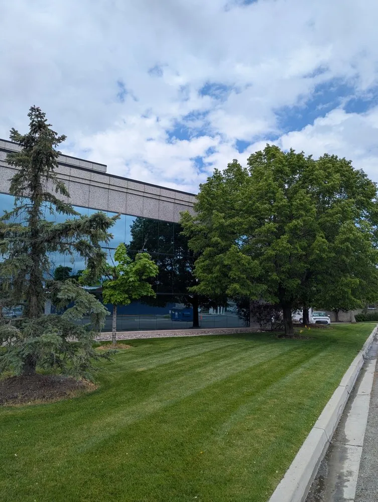 Trusted yard cleanup service in Mapleton, UT by Genesis Landscaping