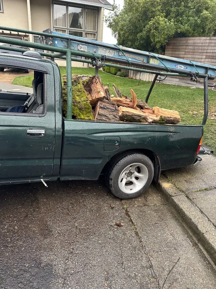 Affordable yard cleanup service in San Rafael, CA by Genesis Landscaping