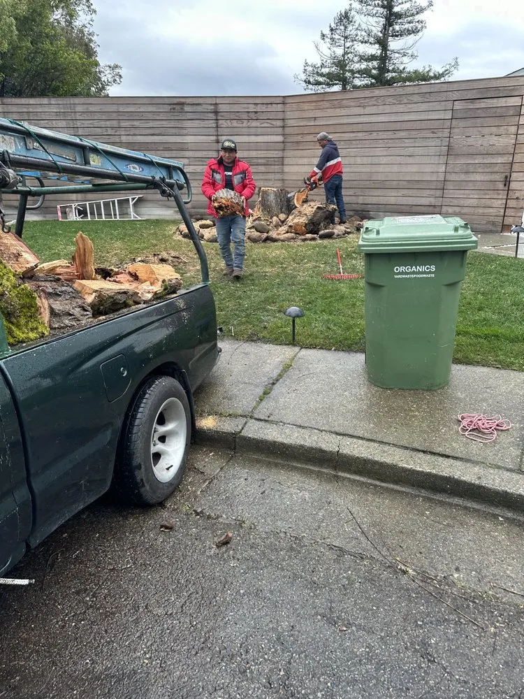 Expert landscaping services experts serving San Rafael, CA - Genesis Landscaping