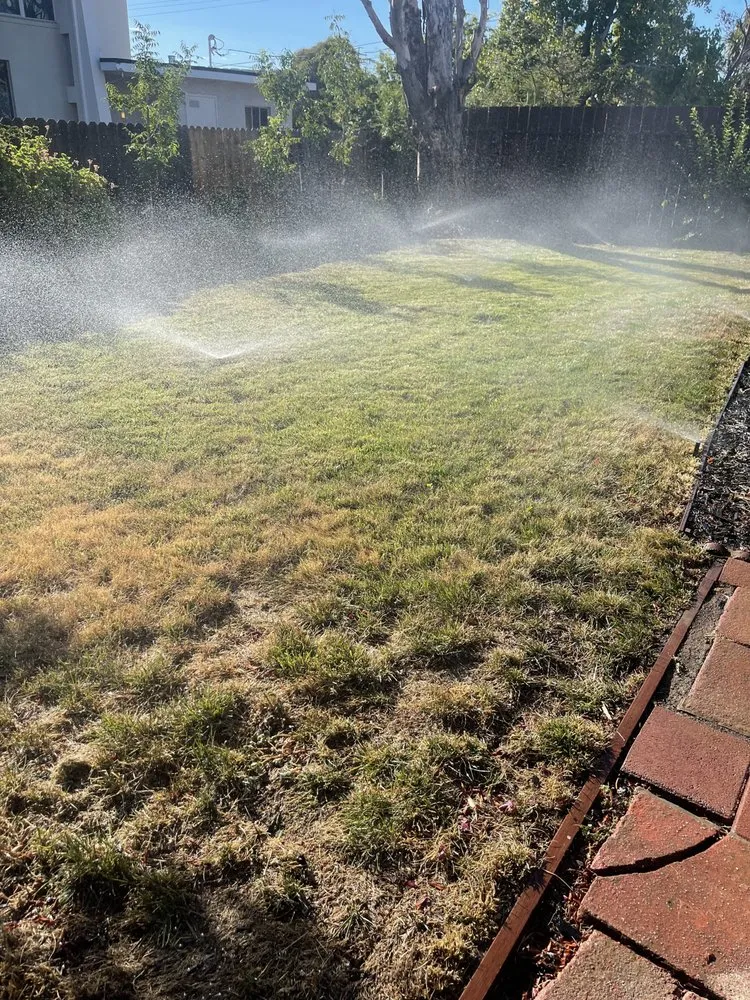 Top-rated lawn mowing service in San Rafael, CA - Genesis Landscaping