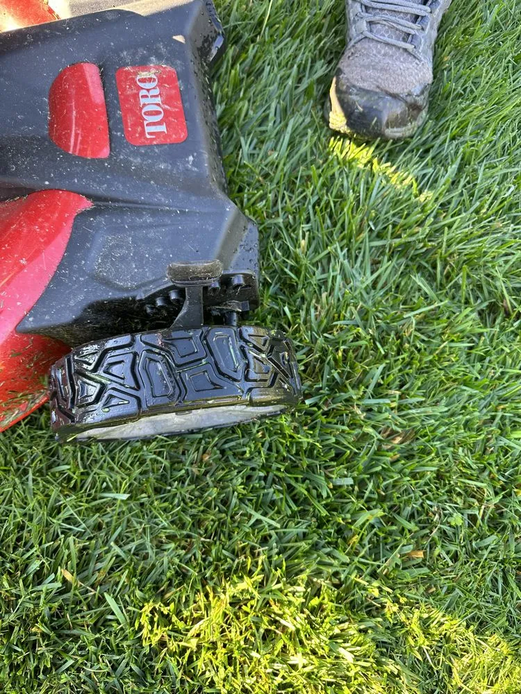 Local lawn care service in San Rafael, CA - Genesis Landscaping