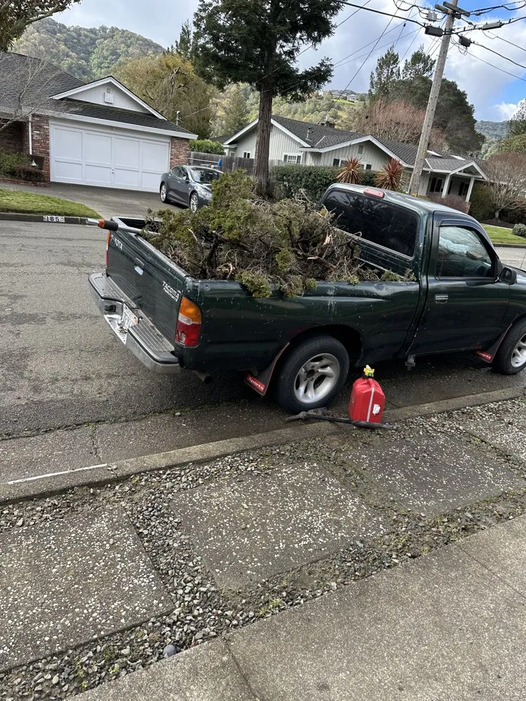 Affordable landscape design experts serving San Rafael, CA - Genesis Landscaping