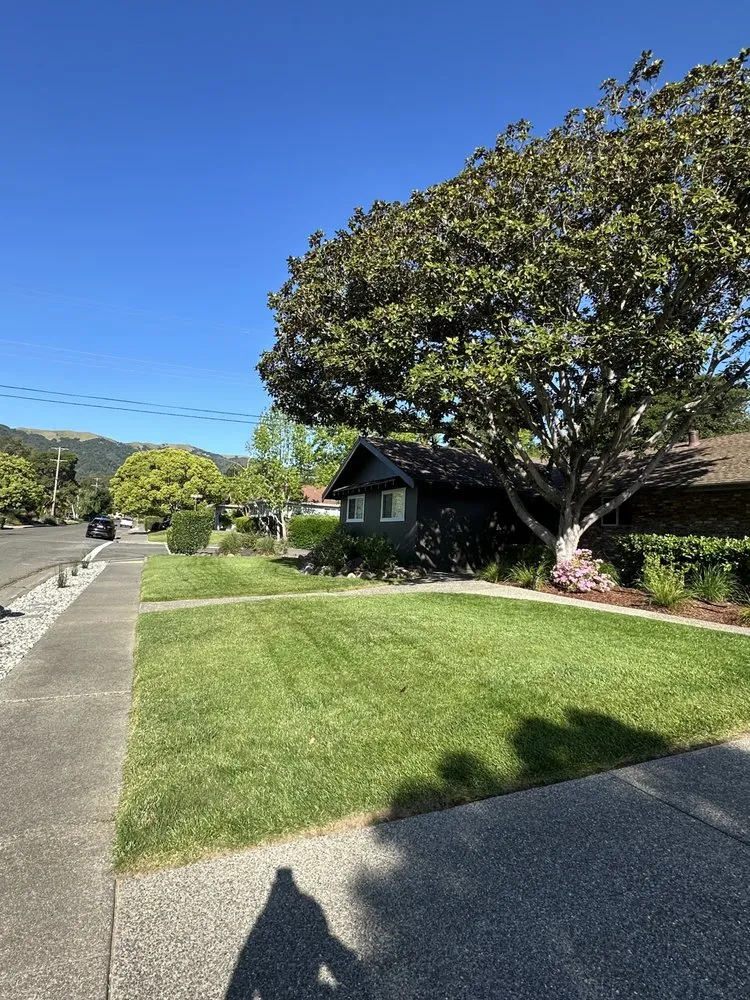 Affordable residential landscaping for beautiful yards in San Rafael, CA by Genesis Landscaping