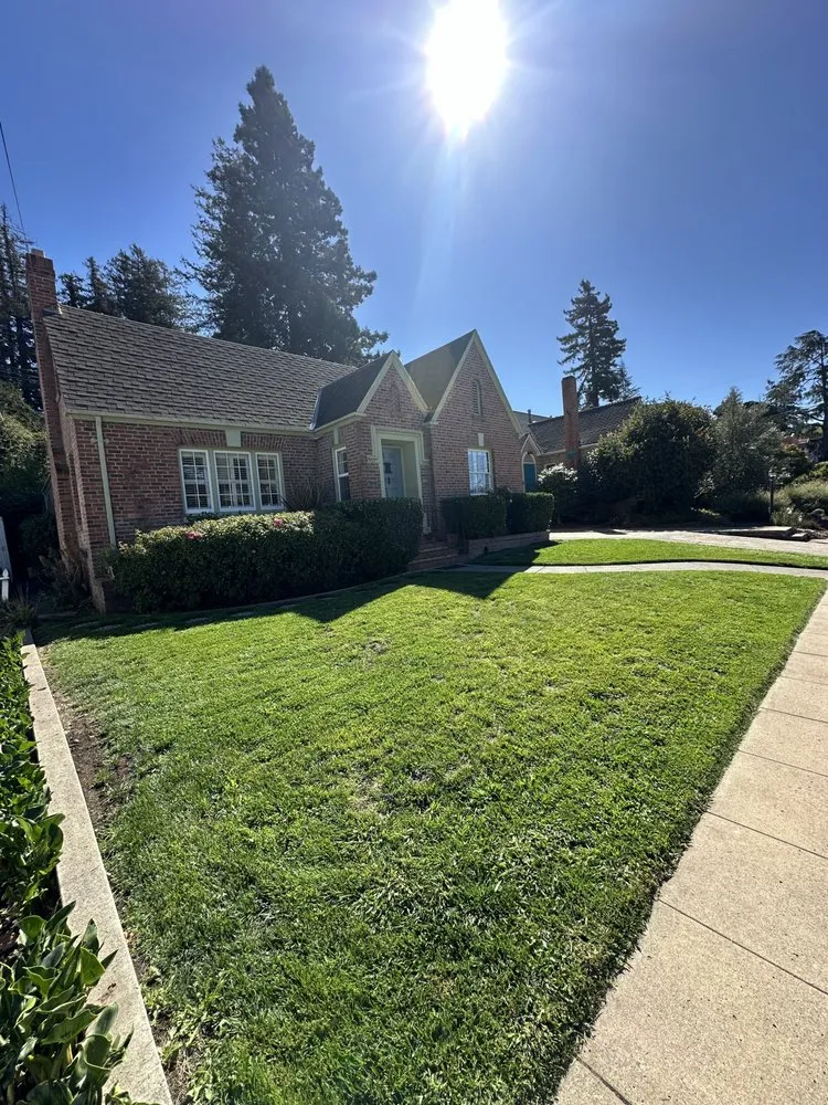 Expert yard cleanup service in San Rafael, CA by Genesis Landscaping