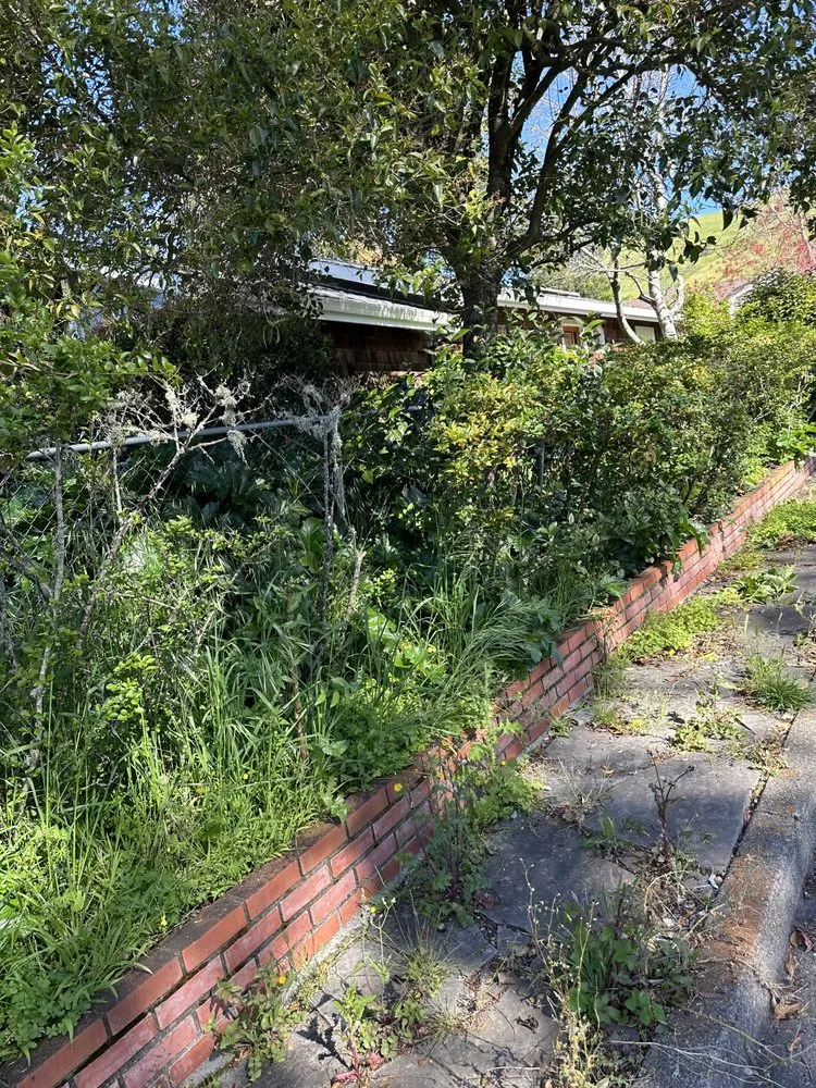 Affordable outdoor landscaping experts serving San Rafael, CA - Genesis Landscaping