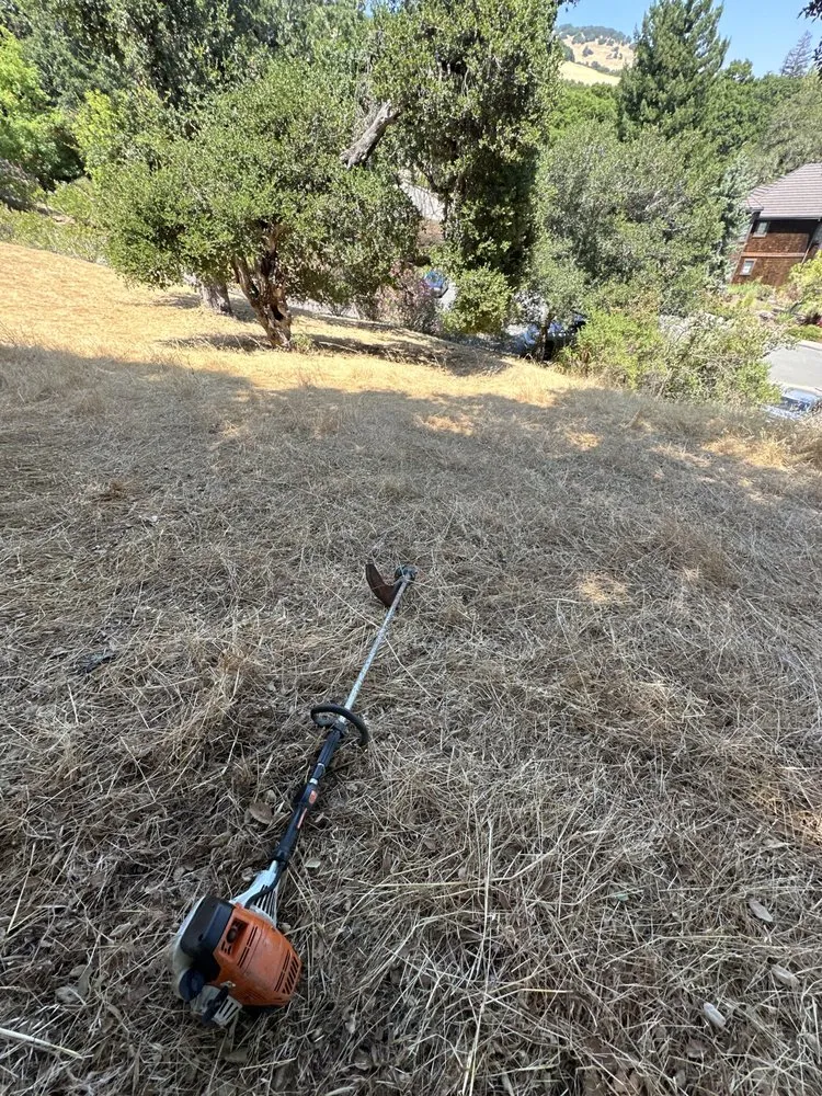 Local lawn mowing service in San Rafael, CA by Genesis Landscaping