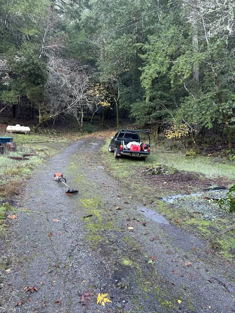 Custom lawn care service near you across San Rafael, CA - Genesis Landscaping