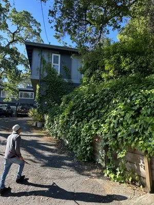 Genesis Landscaping Logo