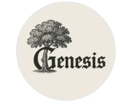 Trusted landscape design for outdoor upgrades across Santa Fe, NM - Genesis Landscaping