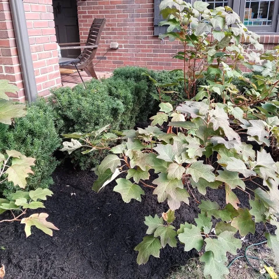 Professional outdoor landscaping in Indianapolis, IN - Genesis Lawn and Maintenance