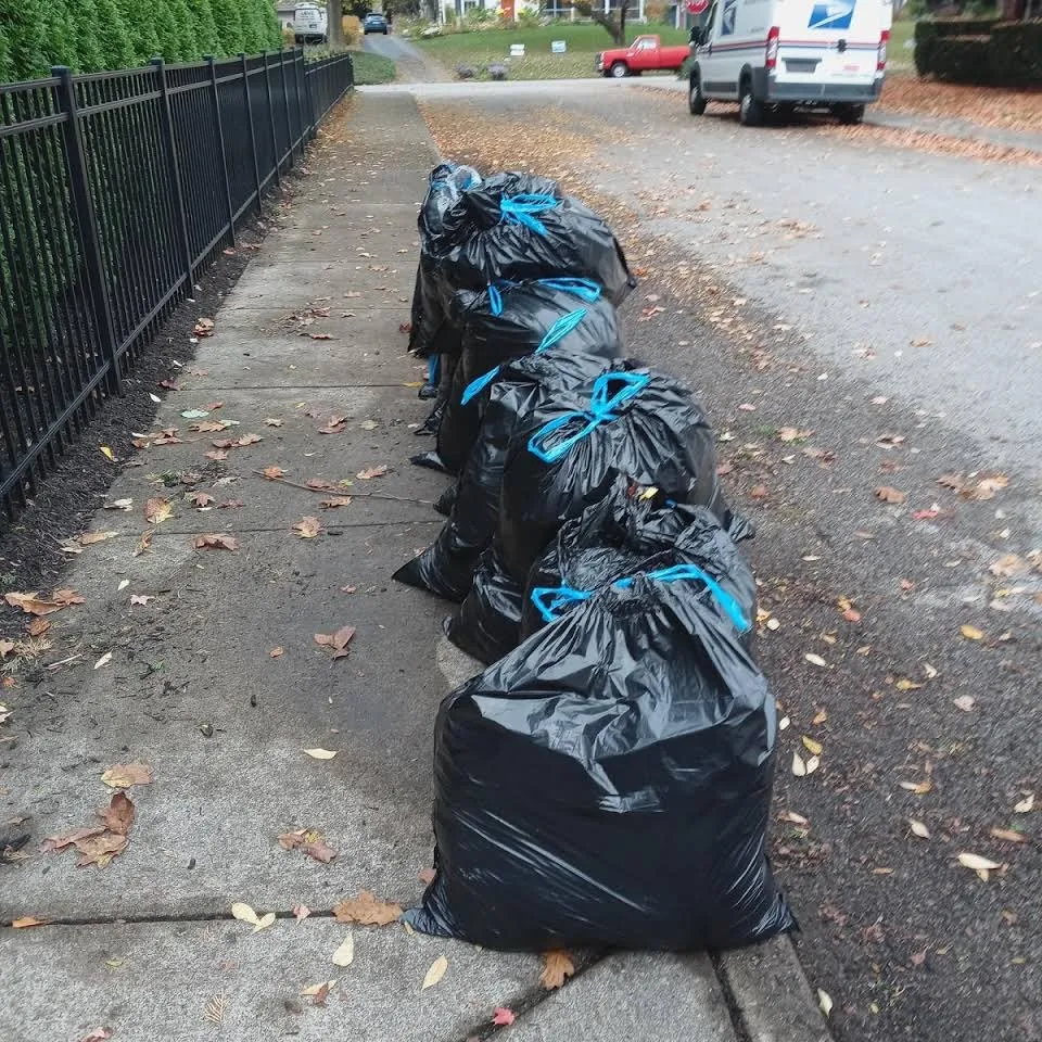 Affordable lawn care service in Indianapolis, IN by Genesis Lawn and Maintenance