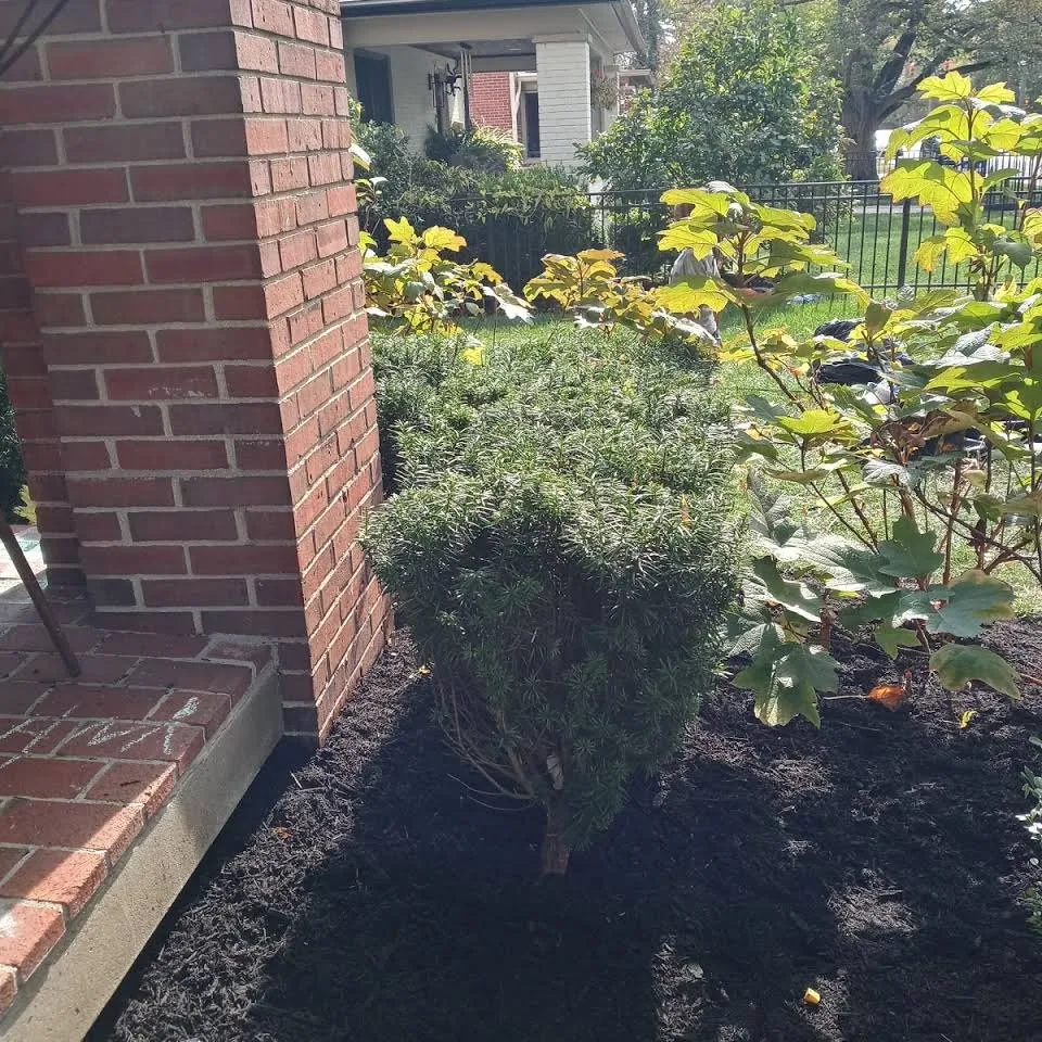 Custom outdoor landscaping near you across Indianapolis, IN - Genesis Lawn and Maintenance