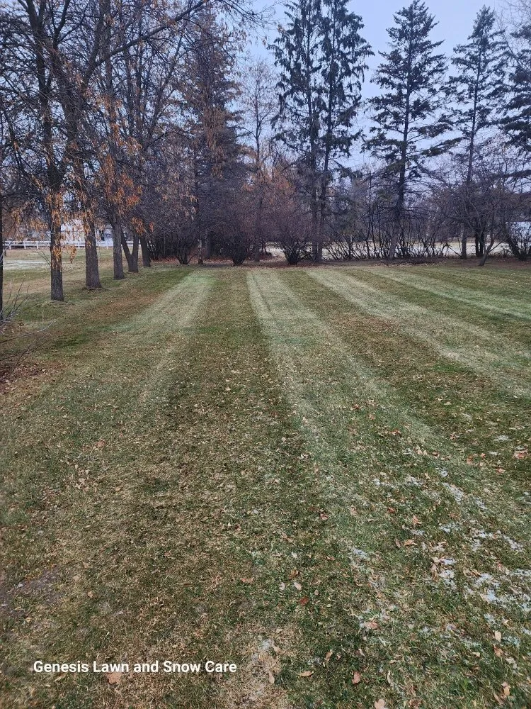 Affordable landscape design experts serving Thief River Falls, MN - Genesis Lawn and Snow Care