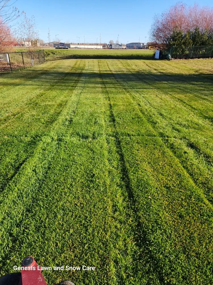 Custom garden landscaping for residential properties across Thief River Falls, MN - Genesis Lawn and Snow Care