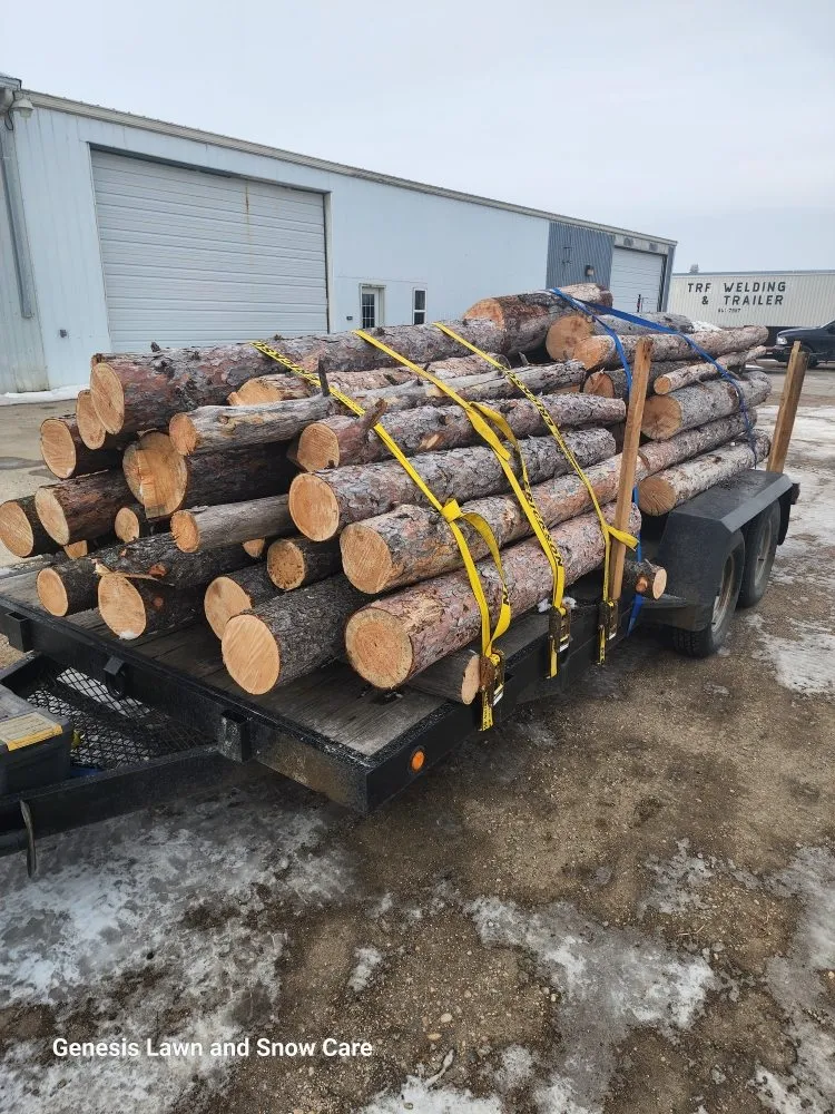 Professional yard cleanup service experts serving Thief River Falls, MN - Genesis Lawn and Snow Care