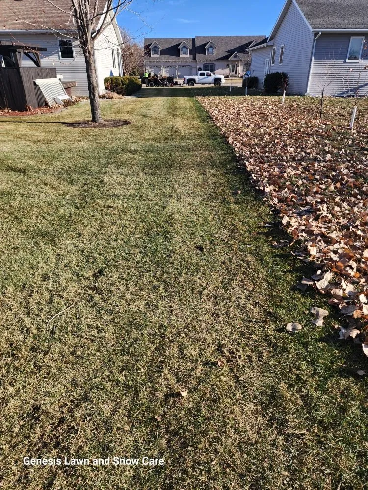 Trusted residential landscaping for beautiful yards across Thief River Falls, MN - Genesis Lawn and Snow Care