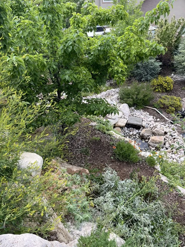 Reliable residential landscaping in Layton, UT - Genesis Lawn Care