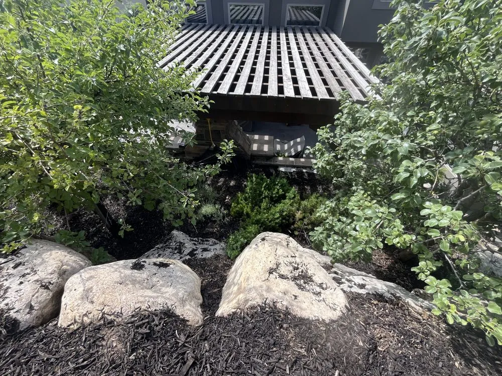 Affordable landscaping services for homes across Layton, UT - Genesis Lawn Care