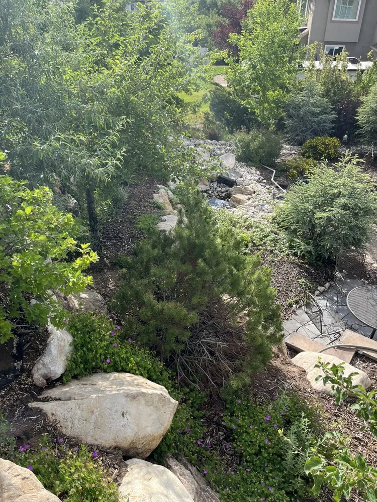 Custom lawn mowing service experts serving Layton, UT - Genesis Lawn Care