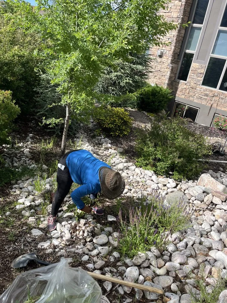 Custom lawn mowing service experts serving Layton, UT - Genesis Lawn Care