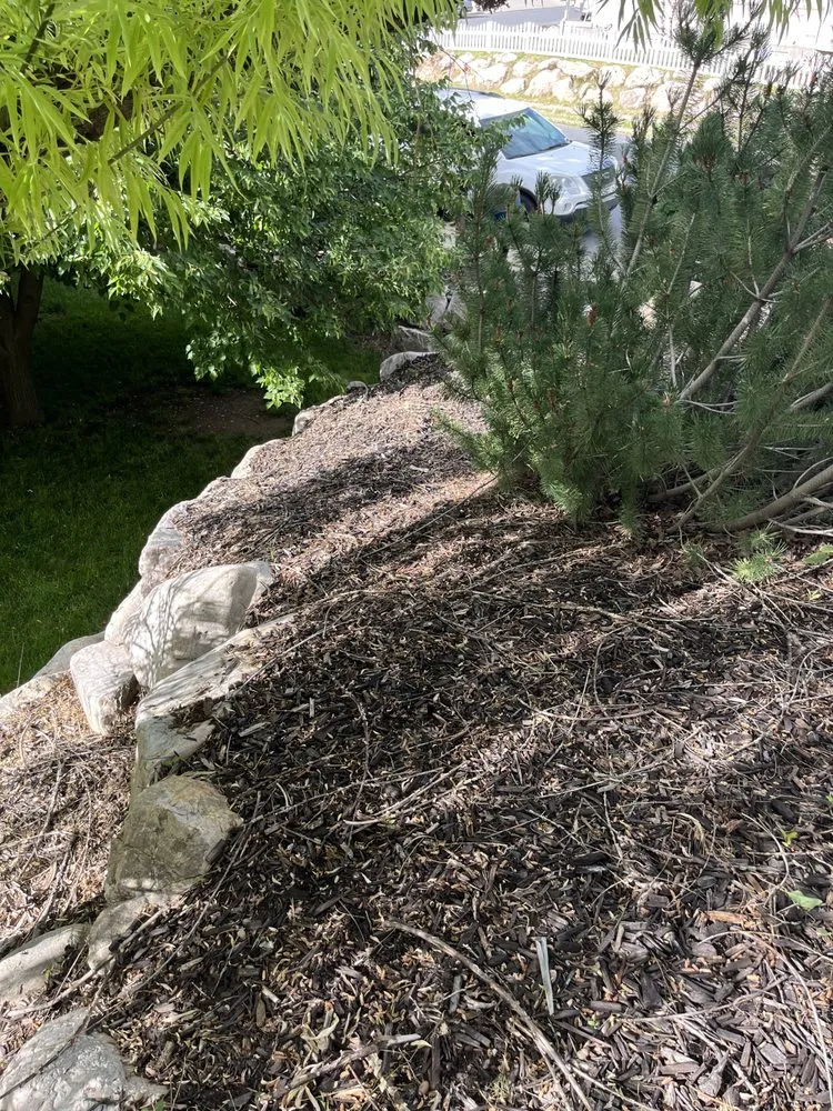 Affordable landscaping services experts serving Layton, UT - Genesis Lawn Care