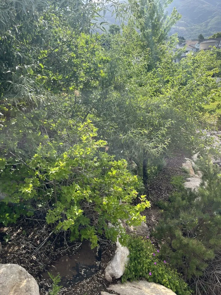 Custom landscape installation experts serving Layton, UT - Genesis Lawn Care