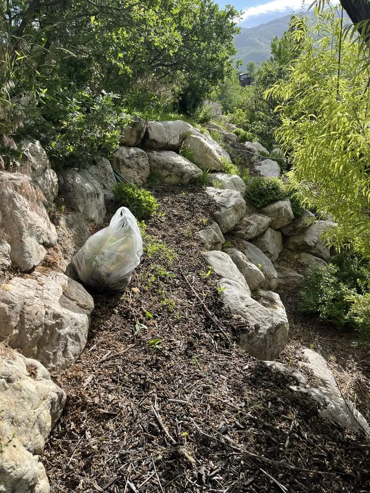 Local yard cleanup service for outdoor upgrades in Layton, UT by Genesis Lawn Care