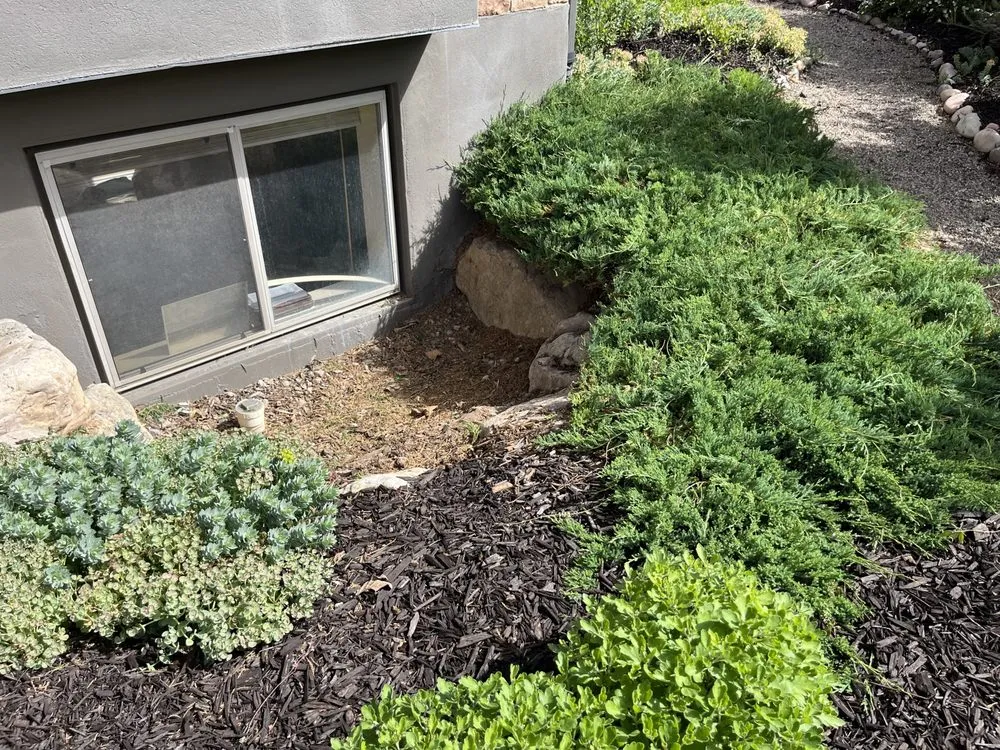 Expert landscape installation experts serving Layton, UT - Genesis Lawn Care