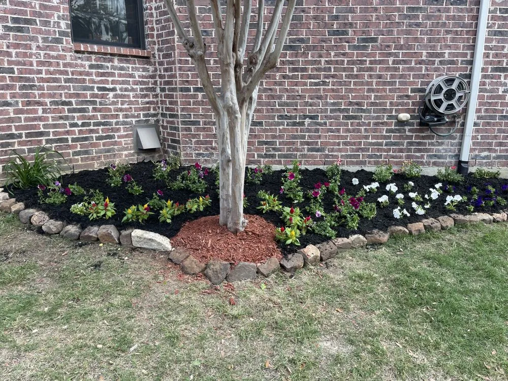 Reliable lawn mowing service in Providence Village, TX by Genesis Lawn