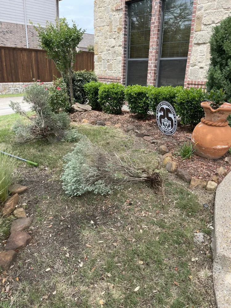 Affordable residential landscaping experts serving Providence Village, TX - Genesis Lawn